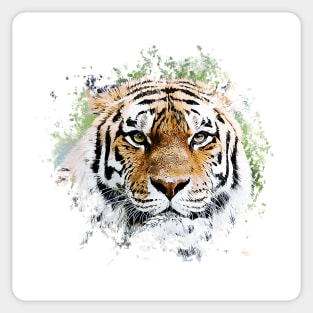 The Majestic Thinking Tiger Sticker